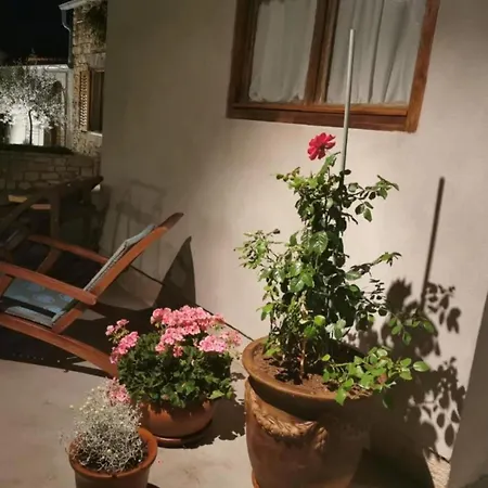 Double With Terrace Apartment